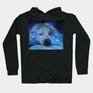 Dog and Blue Glowing Butterflies Hoodie